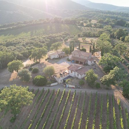 Agriturismo Belvedere Di Pierini E Brugi Campagnatico Dış mekan fotoğraf