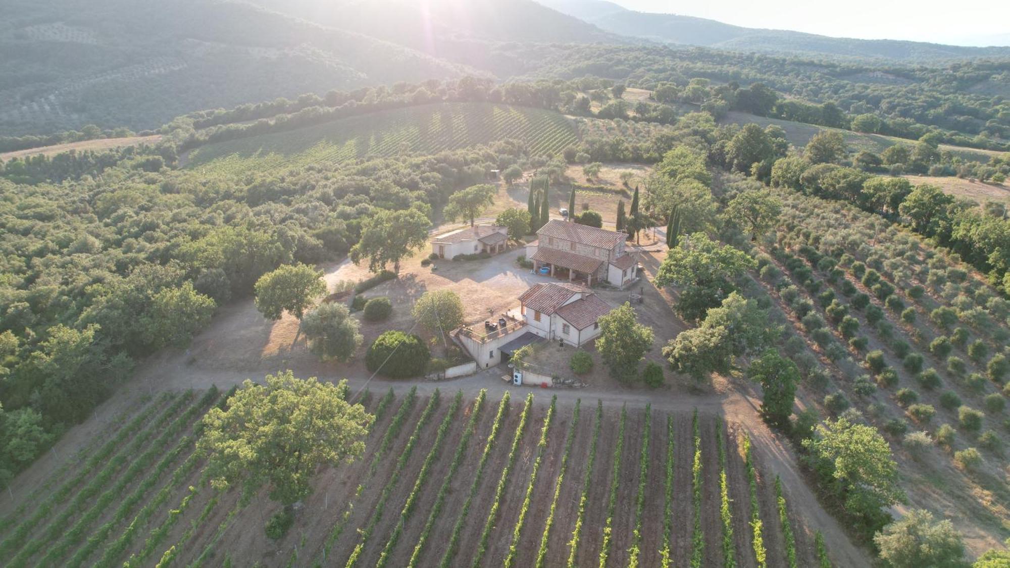 Agriturismo Belvedere Di Pierini E Brugi Campagnatico Dış mekan fotoğraf