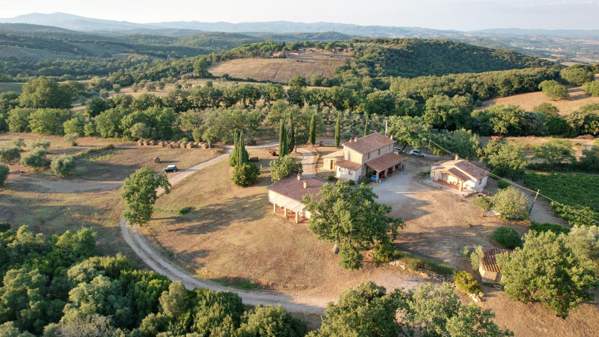 Agriturismo Belvedere Di Pierini E Brugi Campagnatico Dış mekan fotoğraf
