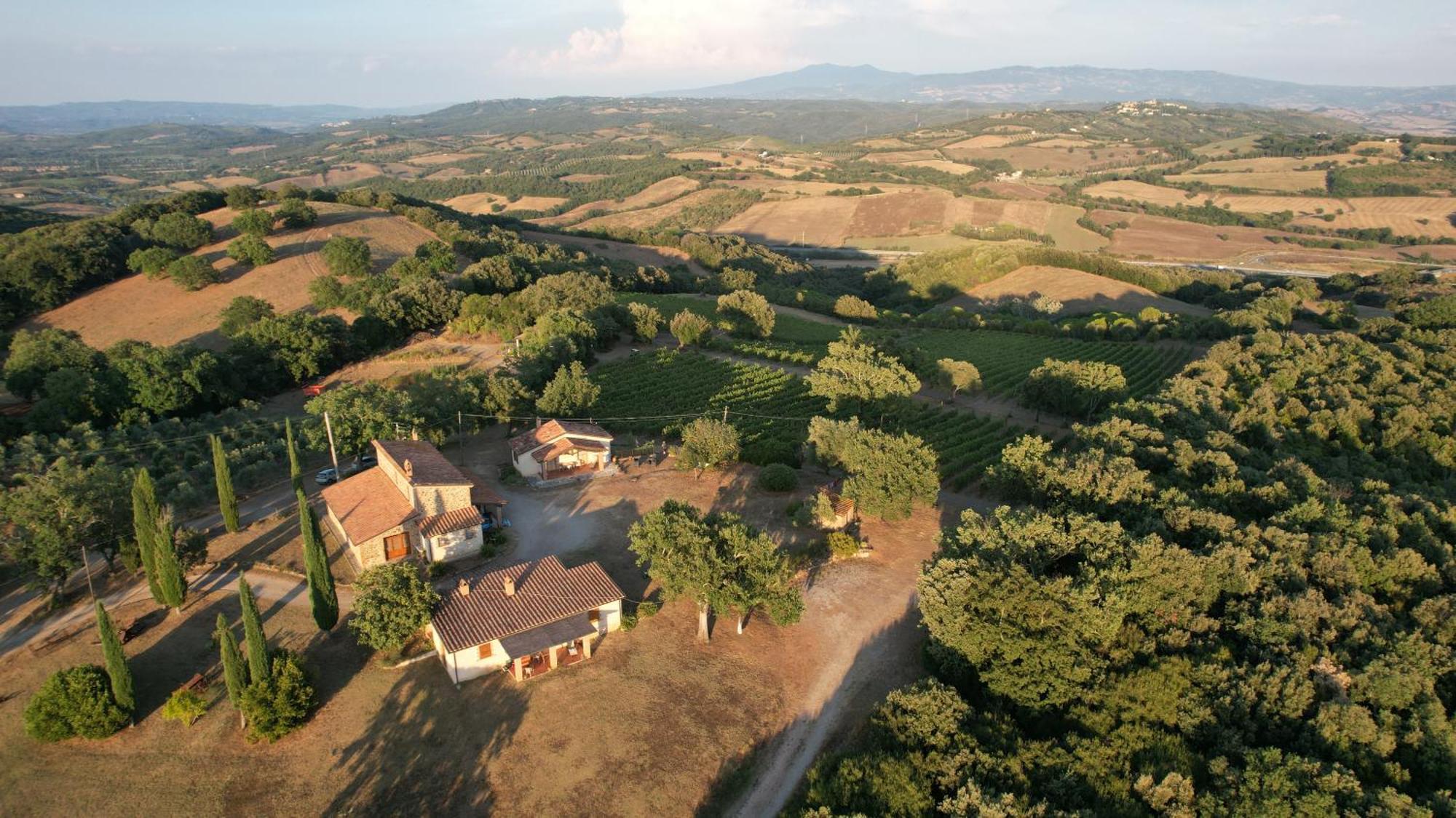 Agriturismo Belvedere Di Pierini E Brugi Campagnatico Dış mekan fotoğraf