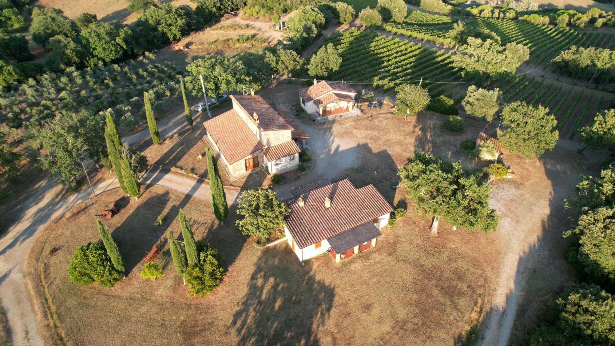 Agriturismo Belvedere Di Pierini E Brugi Campagnatico Dış mekan fotoğraf