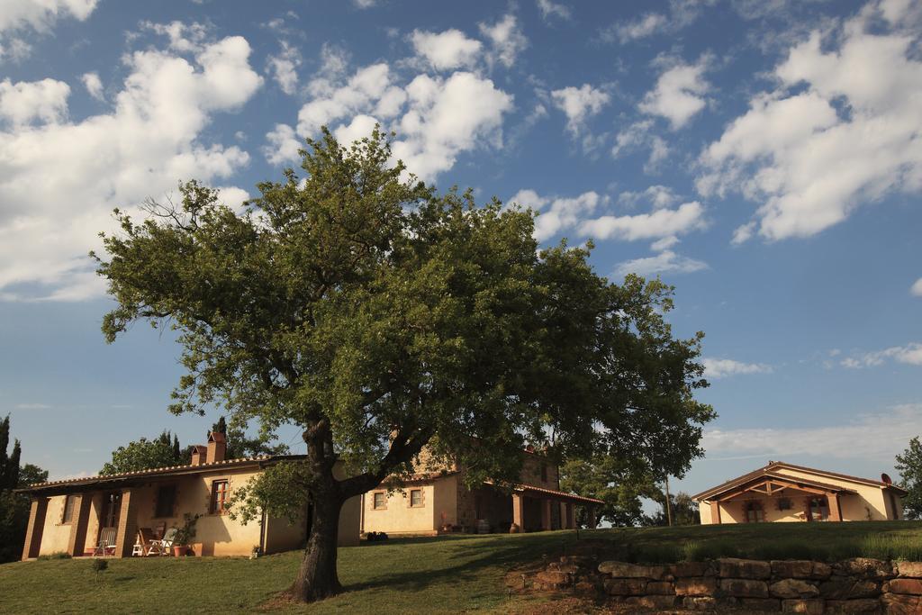 Agriturismo Belvedere Di Pierini E Brugi Campagnatico Dış mekan fotoğraf