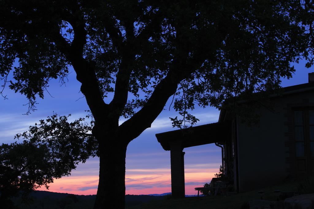 Agriturismo Belvedere Di Pierini E Brugi Campagnatico Oda fotoğraf