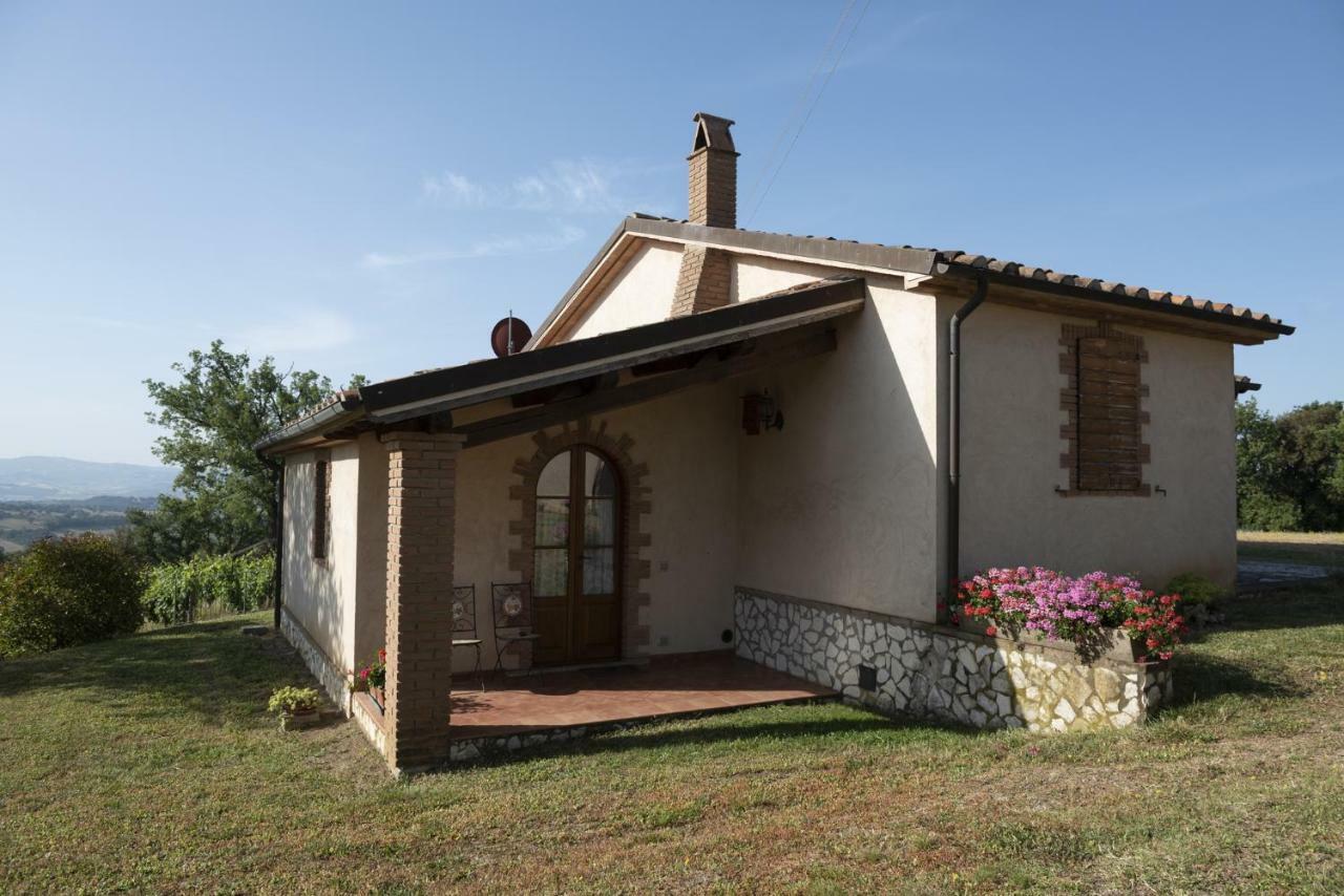 Agriturismo Belvedere Di Pierini E Brugi Campagnatico Dış mekan fotoğraf