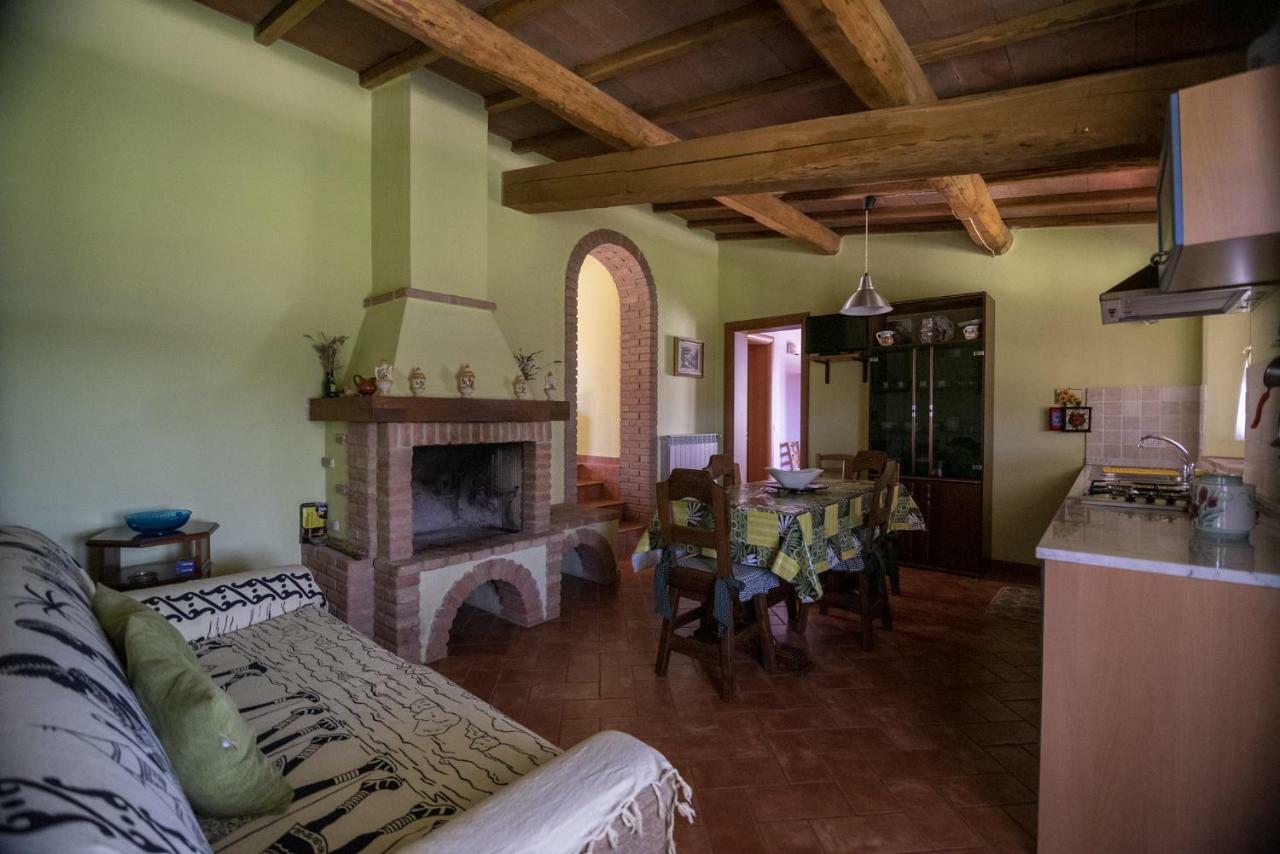 Agriturismo Belvedere Di Pierini E Brugi Campagnatico Dış mekan fotoğraf