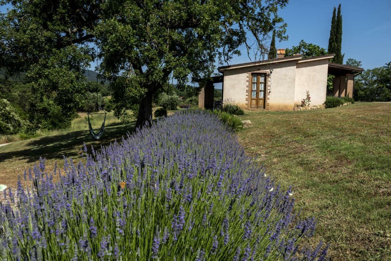 Agriturismo Belvedere Di Pierini E Brugi Campagnatico Dış mekan fotoğraf